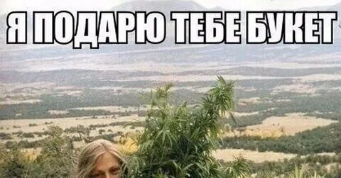 Песня я подарю тебе ганжа и научу