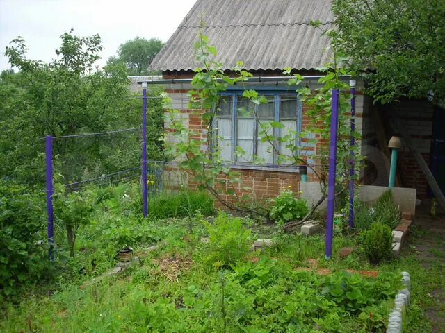 Сайты снт воронежа. Дачи 604 км Воронеж. Воронеж СНТ. Воронеж Масловка дачи на 604 км. СНТ здоровье Воронеж.