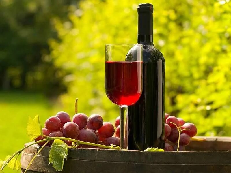 Вино приготовление винограда. Домашнее вино из винограда. Домашнее виноградное вино.