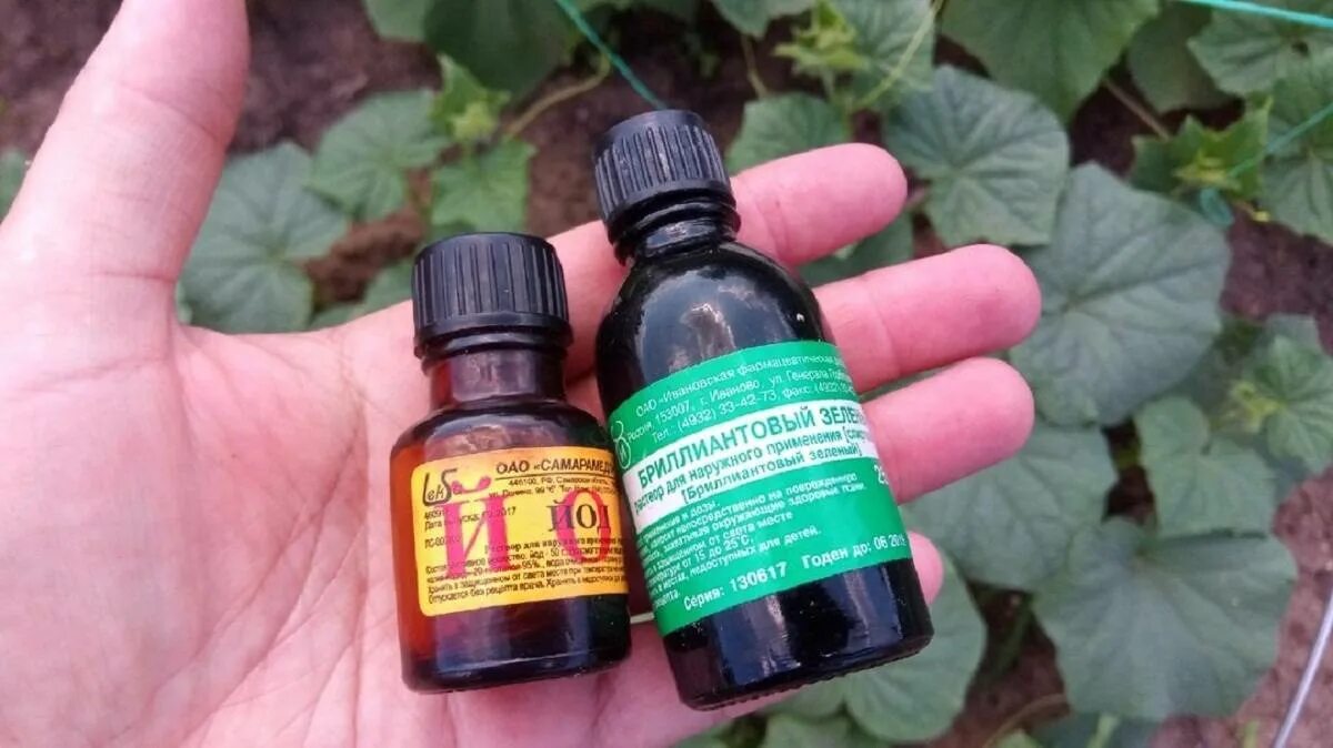 Чем отличается йод от зеленки. Йод или зеленка для обработки. Раствор йода. Йод бриллиантовый зеленый. Зеленка и йод отличия.