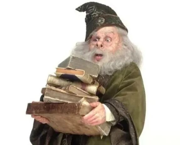 Флитвик. Филиус флитвик. профессор филиус флитвик. флитвик философский камень.