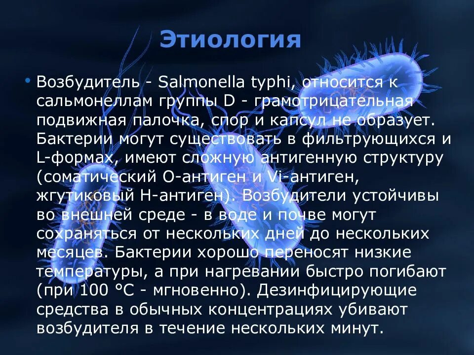 Брюшной тиф возбудитель бактерия. Сальмонелла Тифи симптомы. Сальмонелла Тифи эпидемиология. Презентация на тему брюшной тиф. Сальмонеллез течение