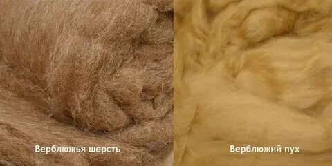 Био пух или верблюжья шерсть