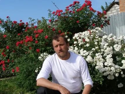 Косов ростов на дону