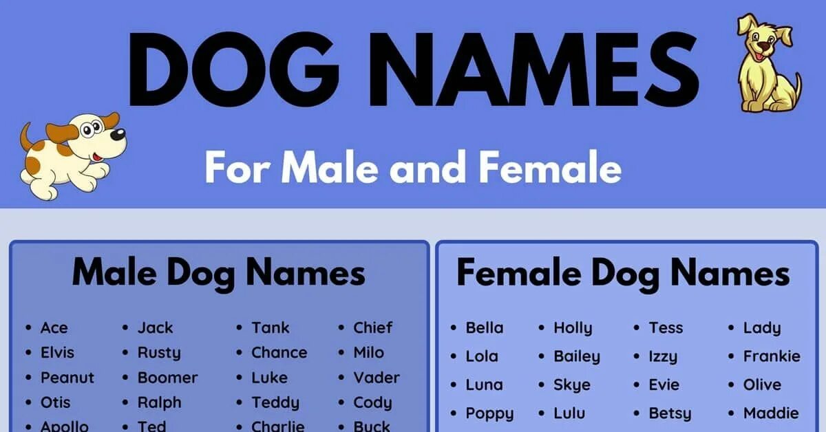 Dogs s names are. Dog names. Dogs names male. Имена для собак. Female Dogs name.