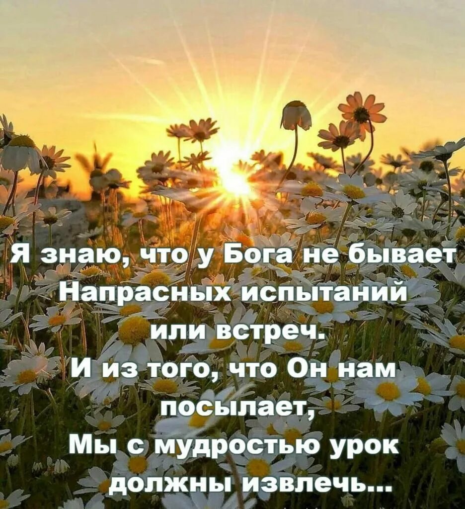 Не напрасно не случайно жизнь от бога