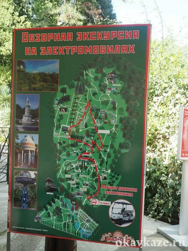 Маршрут до дендрария сочи. Маршрут до дендрария сочи