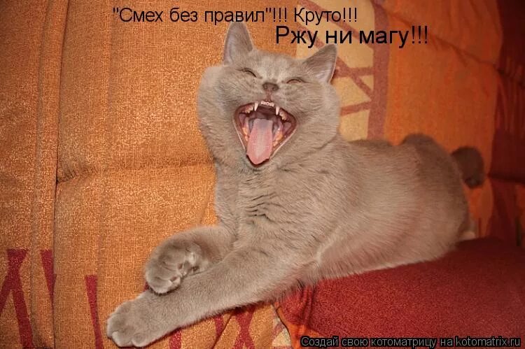 Я клоун надо мной смеются хахаха. Картинка хахахахахахахаххахахахаха. Смешная картинка хахаха. Я клоун надо мной смеются хахаха. Цирк мем.