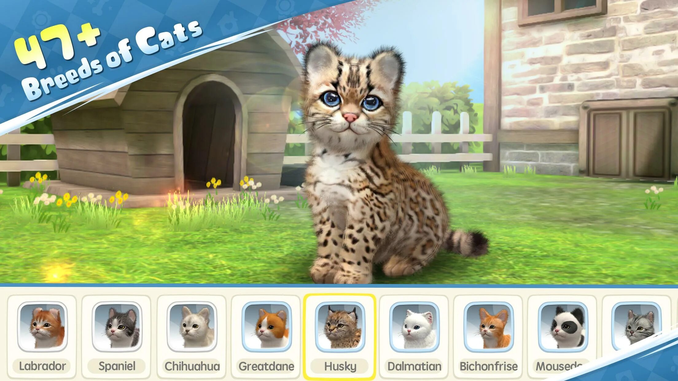 Игра cat casino cat license cat pw. My Cat игра. Игра Pets Cats. Игра my Cat Pets. Симулятор кошки.