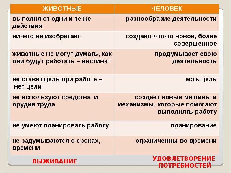 Чем отличается труд. Таблица труд человека и животного. сравнение человекаии животного. отличия труд человека и животных. различие между животными и человеком таблица.