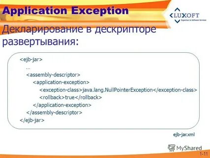 Application exception