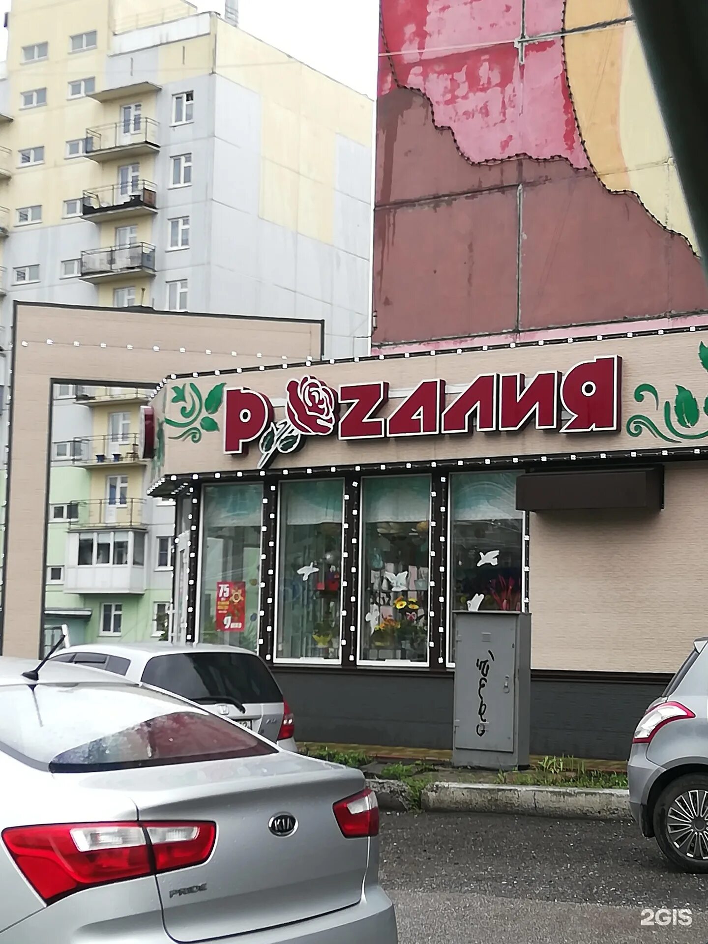 Цветы киселевск. Цветы ленинск кузнецкий. Цветы ленинск кузнецкий. Цветы ленинск кузнецкий. Цветы ленинск кузнецкий.