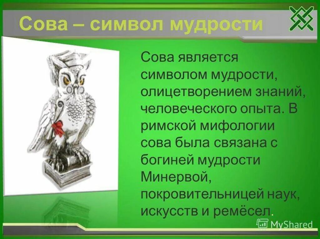 Сова символ мудрости знаний. Сова символ мудрости. Сова олицетворение мудрости. Символ мудрости и знаний. Сова символ чего.