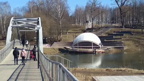 Сестрорецком парке клина