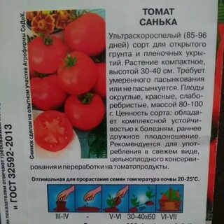 Сорт помидор санька отзывы описание сорта