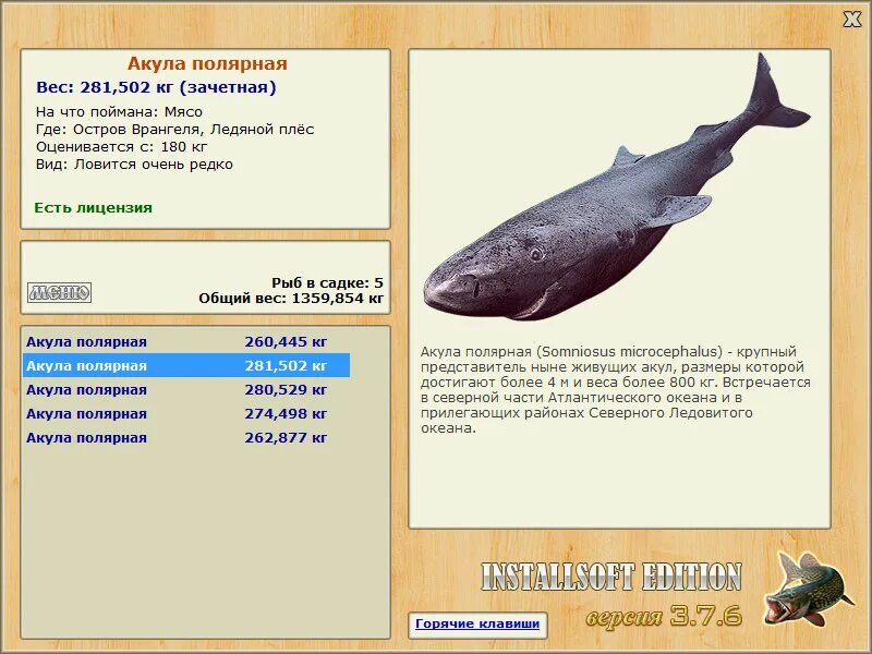 полярная акула реальная рыбалка. 4. реальная рыбалка рыбы. акула полярная русская рыбалка. акула полярная русская рыбалка.