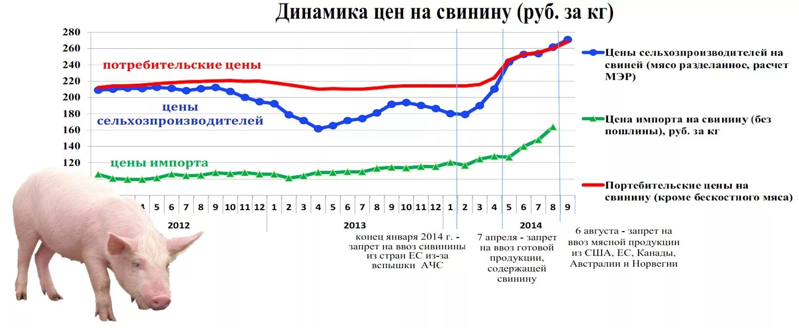 Динамика цен на свинину. Рост цен на мясо. Динамика цен на мясную продукцию. Динамика цен на мясо.