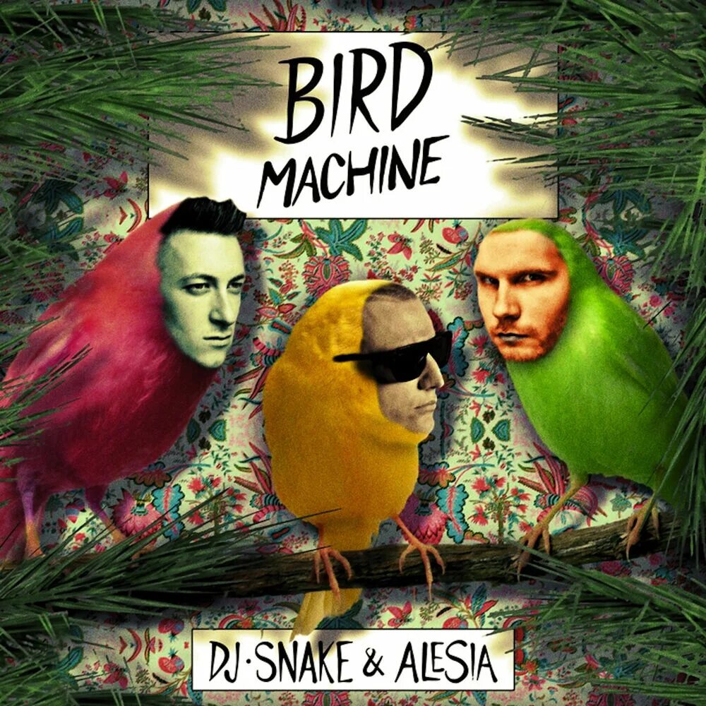 Dj snake feat. Bird Machine DJ Snake. Bird Machine DJ Snake, Alesia. DJ Snake feat. Alesia. Bird Machine DJ Snake Lyric.