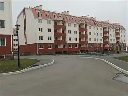 Альбатрос тольятти