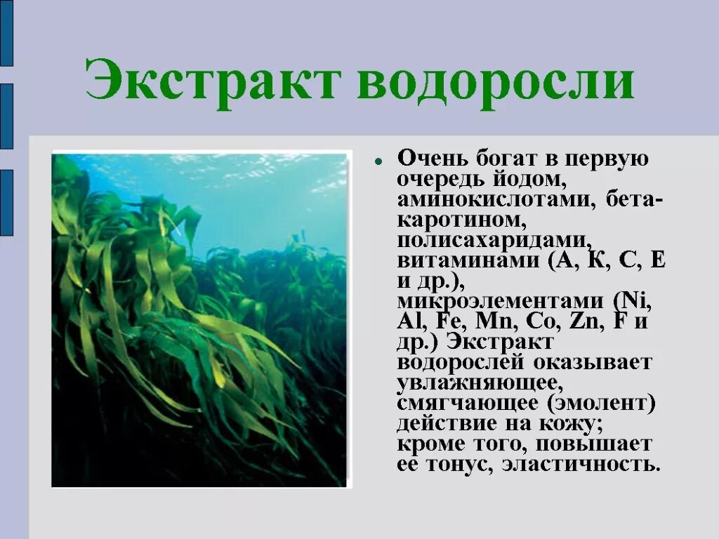 Значение донных водорослей в природе назовите. Экстракт водорослей. Йод в водорослях. Бурые водоросли йод. Морские водоросли богаты йодом.