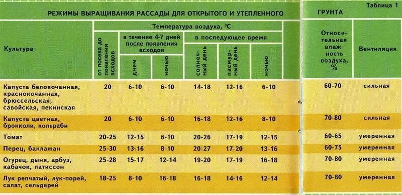 Теплицу открывать при какой температуре с помидорами