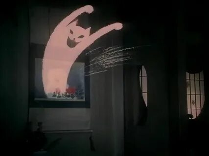 Кот призрак видео