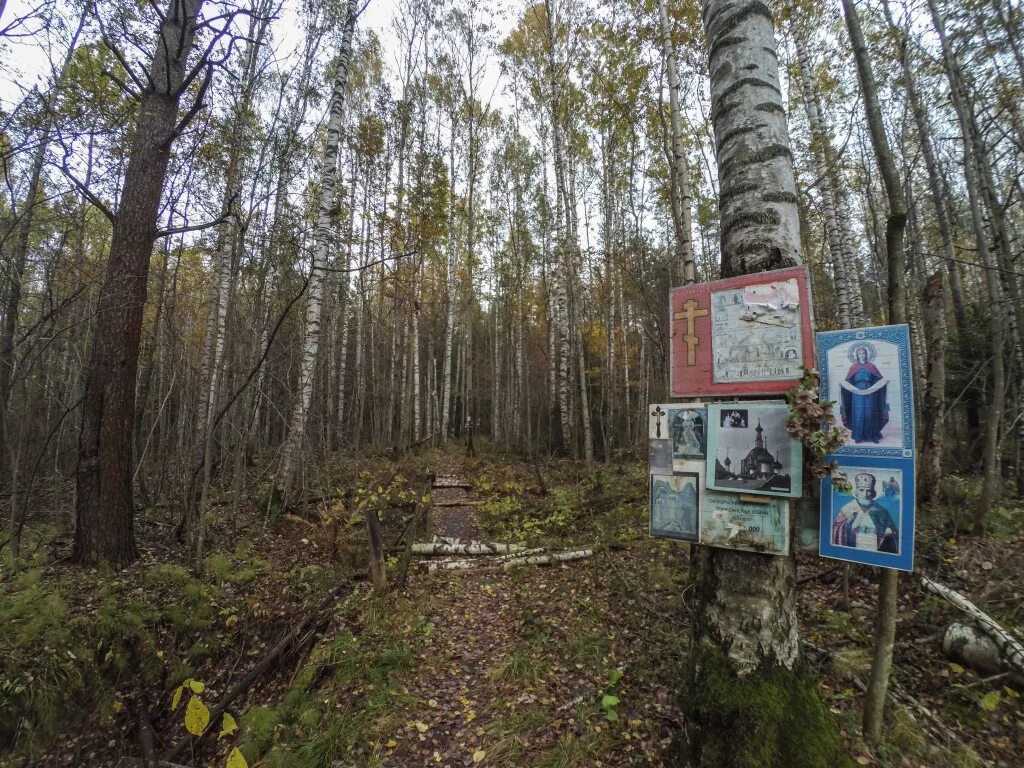 Ржевский полигон на карте. Ржевский полигон ленинградская область. Ржевка полигон санкт-петербург. Ржевский полигон на карте. Ржевский полигон на карте.