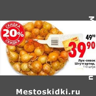 Акции лук