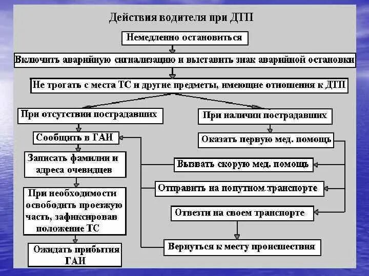 Плакаты по охране труда на автомобильном транспорте. В каких случаях водители автотранспортных средств. Подготовка водителей транспортных средств. Плакаты по охране труда на автомобильном транспорте. В каком случае водитель транспортного средства приближающегося.