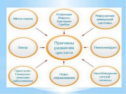 Лечение хронического цистита у женщин пожилого возраста