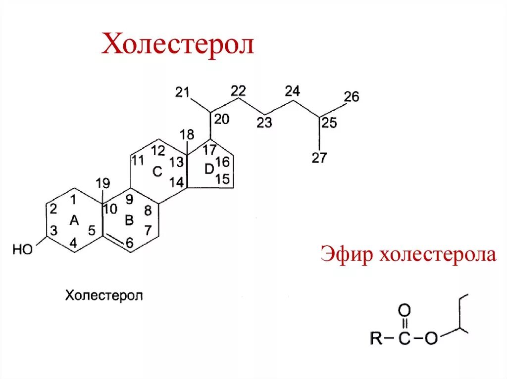 Структурная формула холестерола. Холестерол формула биохимия. Структура холестерола биохимия. Строение холестерола биохимия. Биологическая роль холестерина