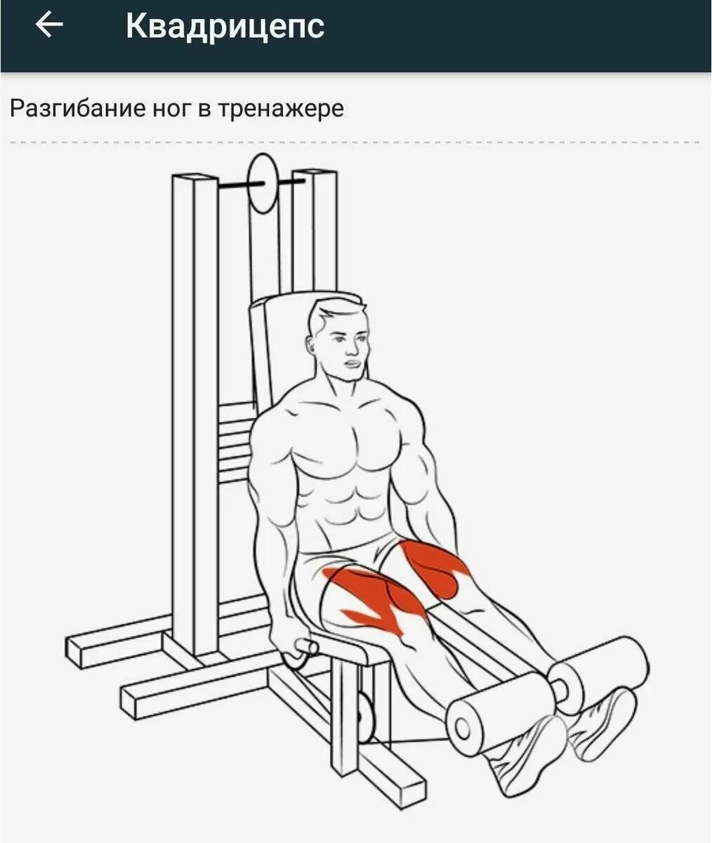Сгиб разгиб. Разгибание на квадрицепс в тренажере. разгибание ног в тренажере техника выполнения. разгибание ног сидя в тренажере техника. упражнение на квадрицепс бедра в тренажере сидя.