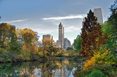 Centre park