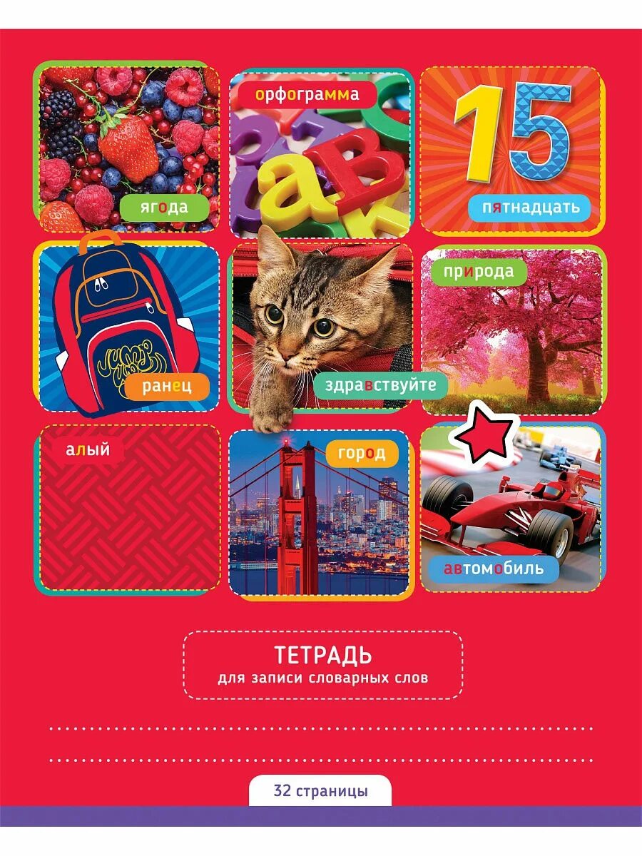 Тетрадь формата а5. Тетрадь формата а5