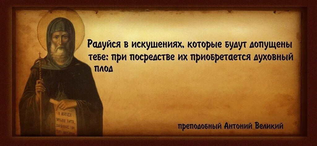 Девять больных придут. Преподобный Антоний Великий изречения. Изречения преподобного Антония Великого. Преп.Антоний Великий искушение. Высказывание преподобного Антония Великого.