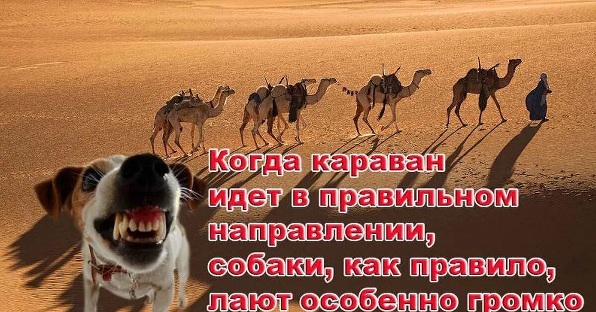 Пускай собака лает. Сабаки лаию каравани идт. собаки лают караван. собаки лают корован идет. собака гавкает караван идет.