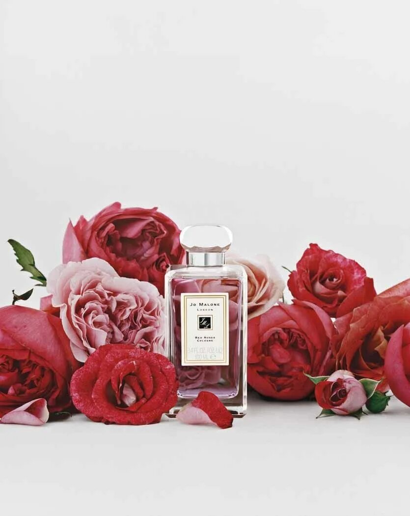 Jo Malone духи Red Roses. Джо Малон ред Роуз Кологне. Джо Малон духи красный флакон. Духи розочка