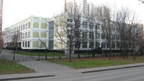Школа 241