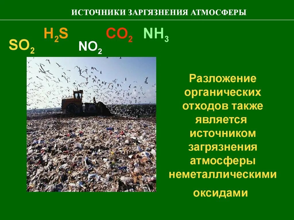 Среда разложения