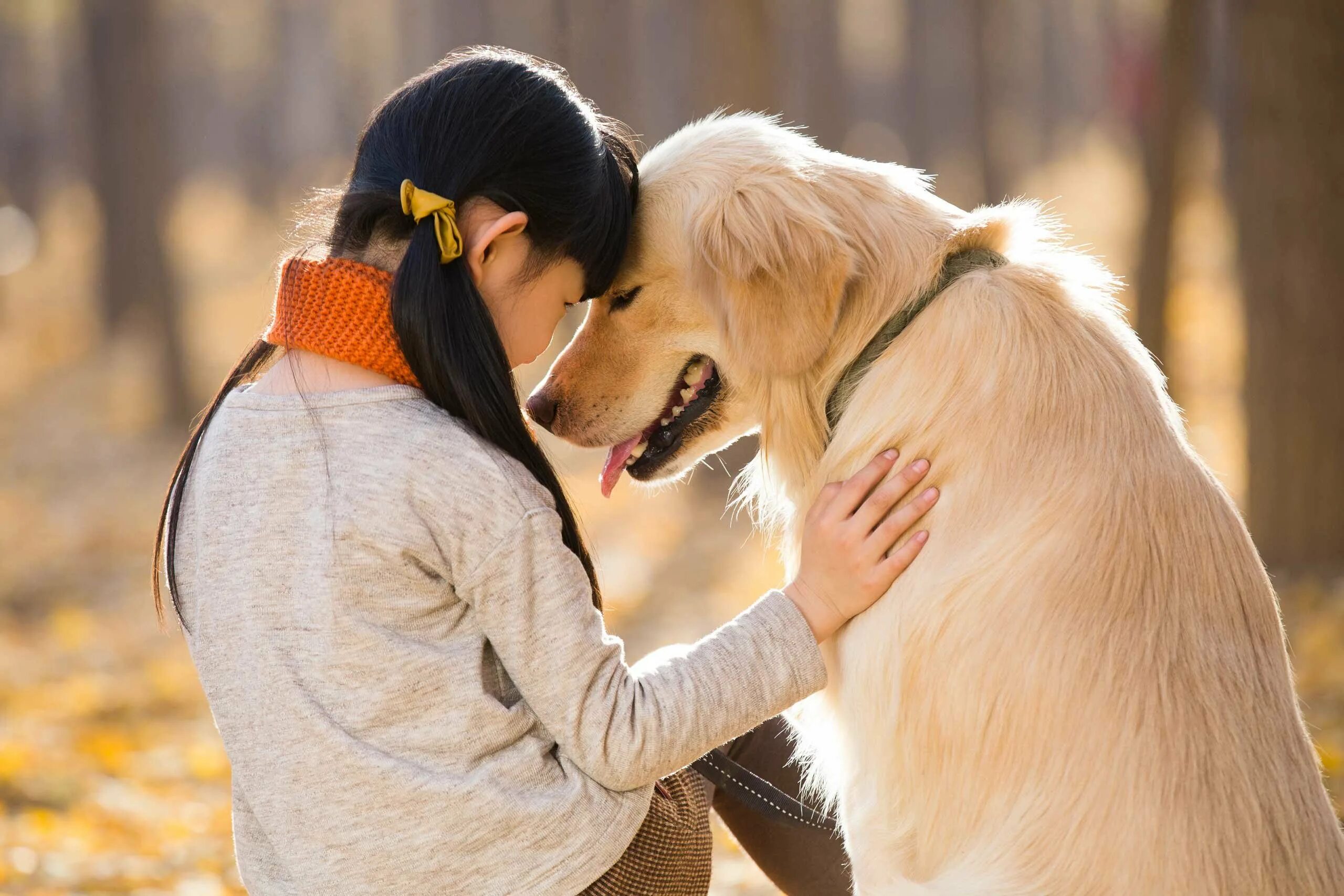 Правда что люди животные. Любовь собаки к человеку. Любовь к животным. Люди и животные любовь. Обнимает собаку.
