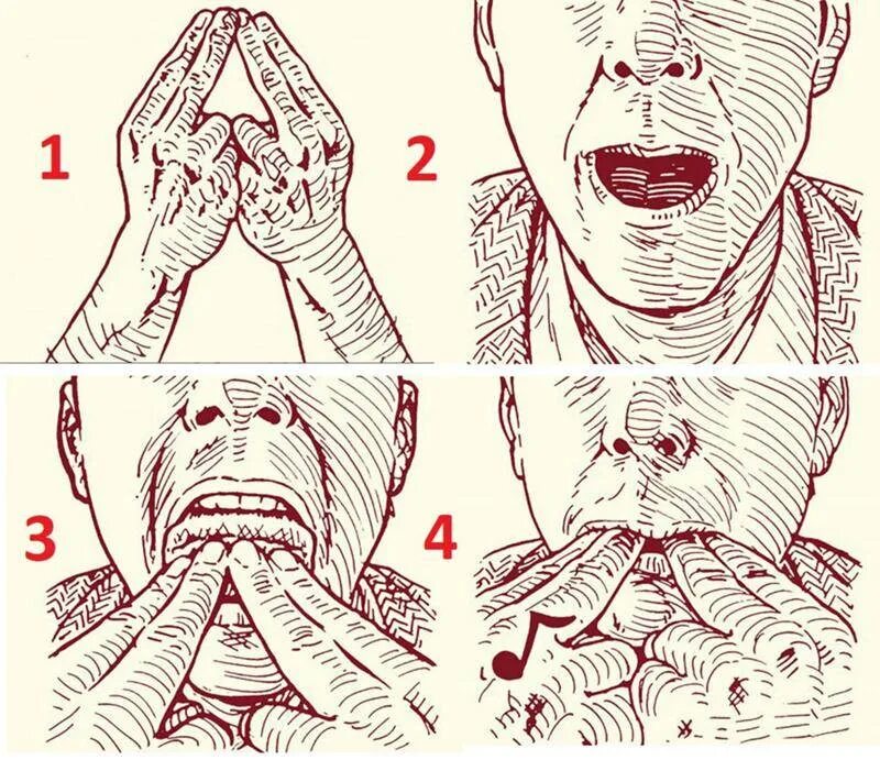 Как свистеть с помощью рук. Как научиться свистеть громко. как научиться свистеть с пальцами. как научиться сивискит. как научиться свистеть без пальцев.