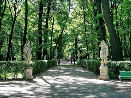 Центр летнего сада