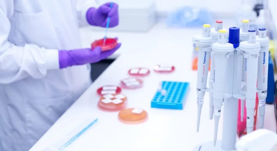 Специальность бактериология. Специальность бактериология. Медицинские исследования. Лабораторные исследования микробиология. Специальность бактериология.