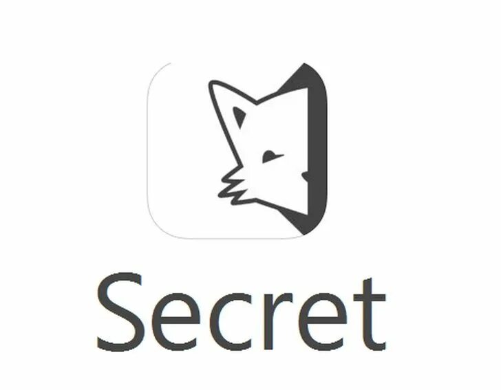 Приложение сикрет. Секретная сеть лого. Приложение секрет. Соцсекрет. Secret app.