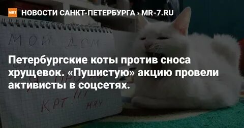 Крт спб