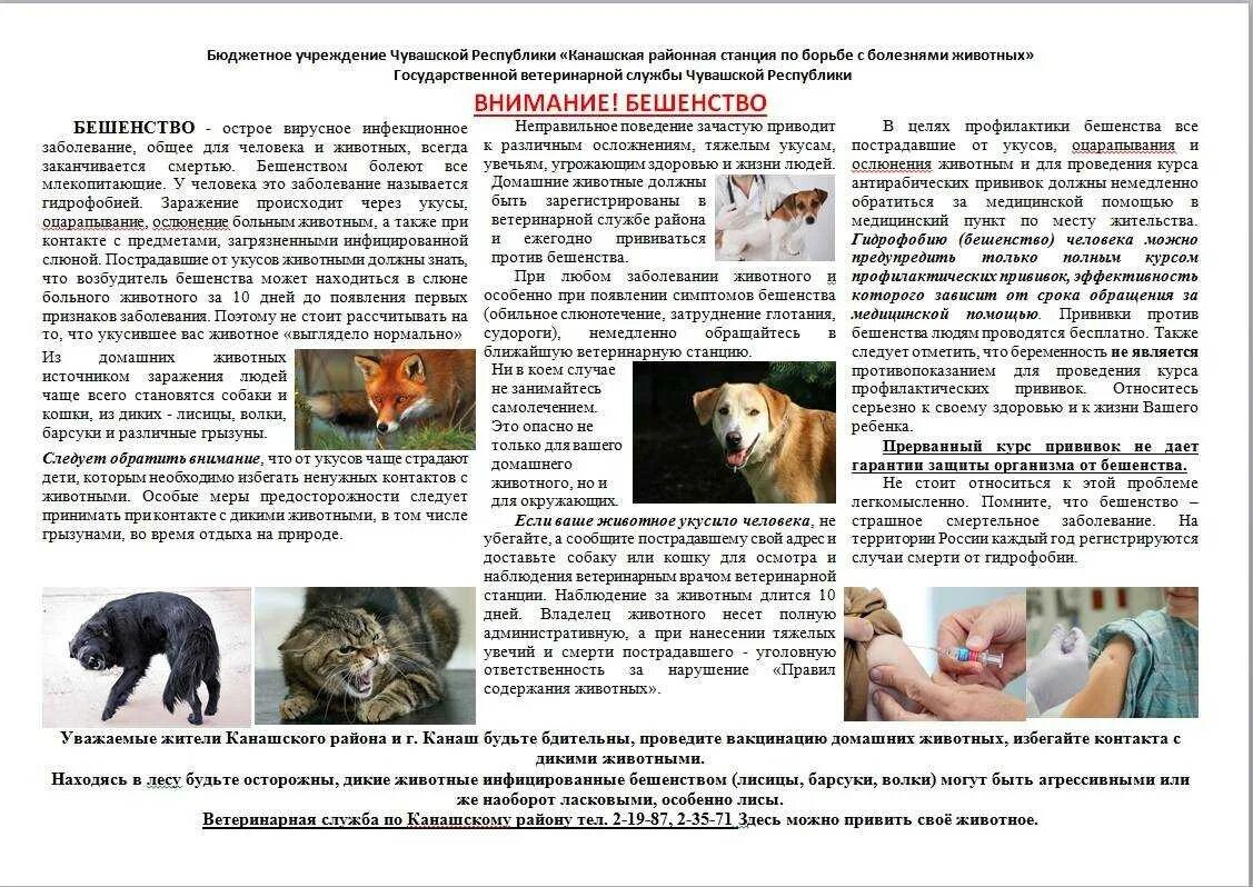 Вакцина при заражении