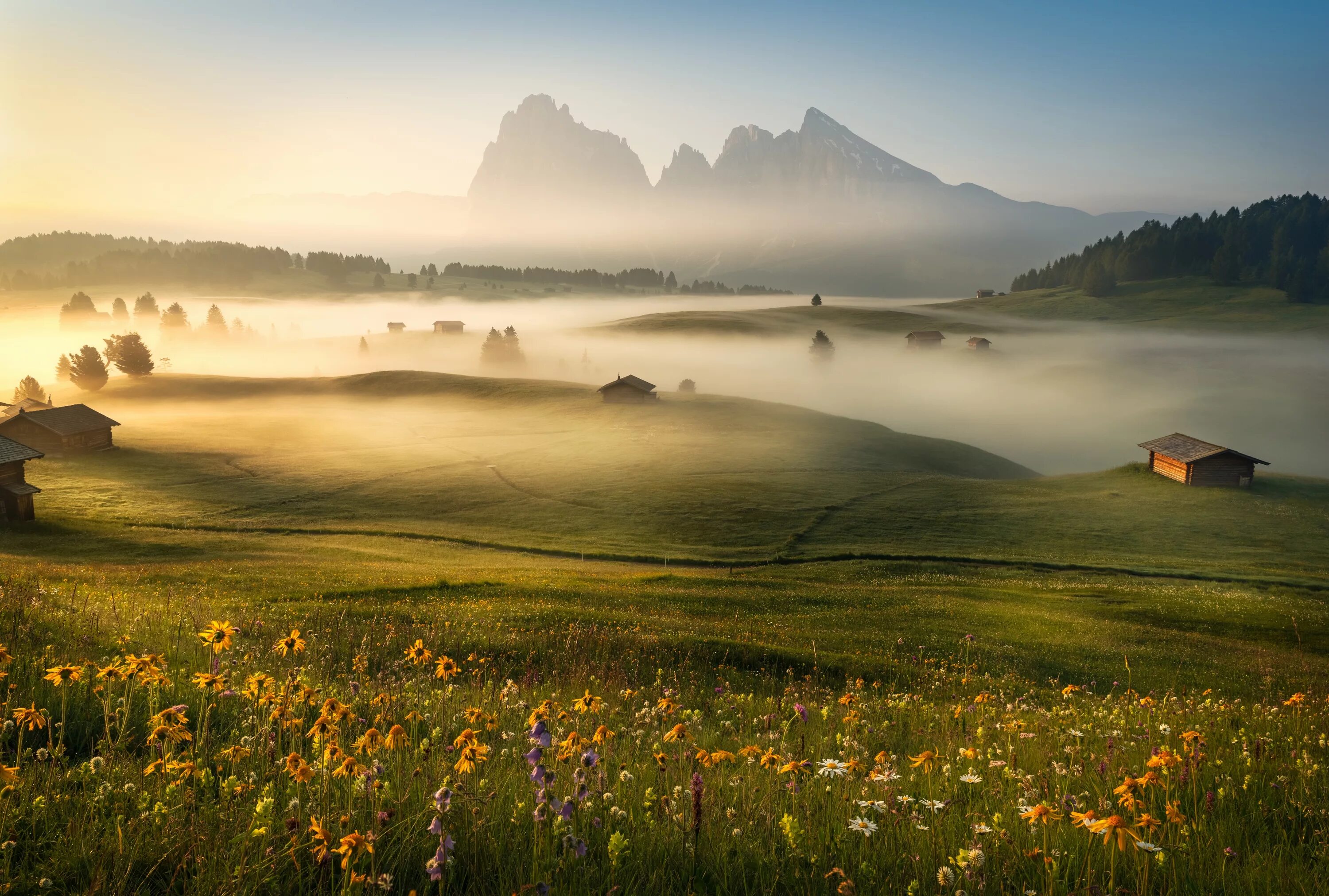 Beautiful hill. Зеленые холмы Доломитовые Альпы. Альпийские Луга Швейцария. Доломитовые Альпы лето цветы солнце. Альпийские Луга закат Швейцария.