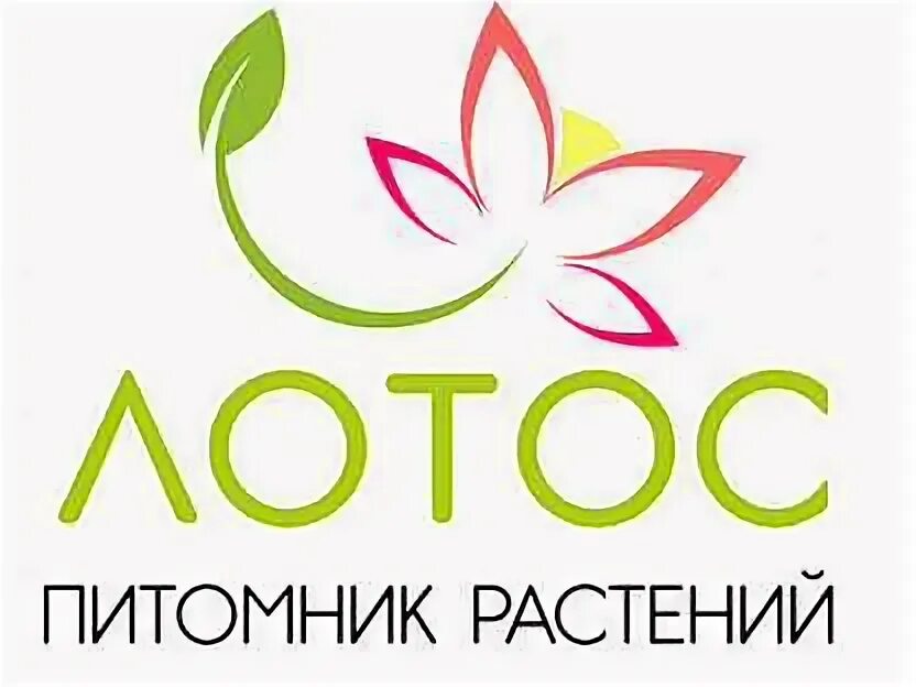 Питомник лпоос. Питомник растений волгоград лотос. Лотос магазин. Лотос питомник растений. Лотос волгоград питомник.