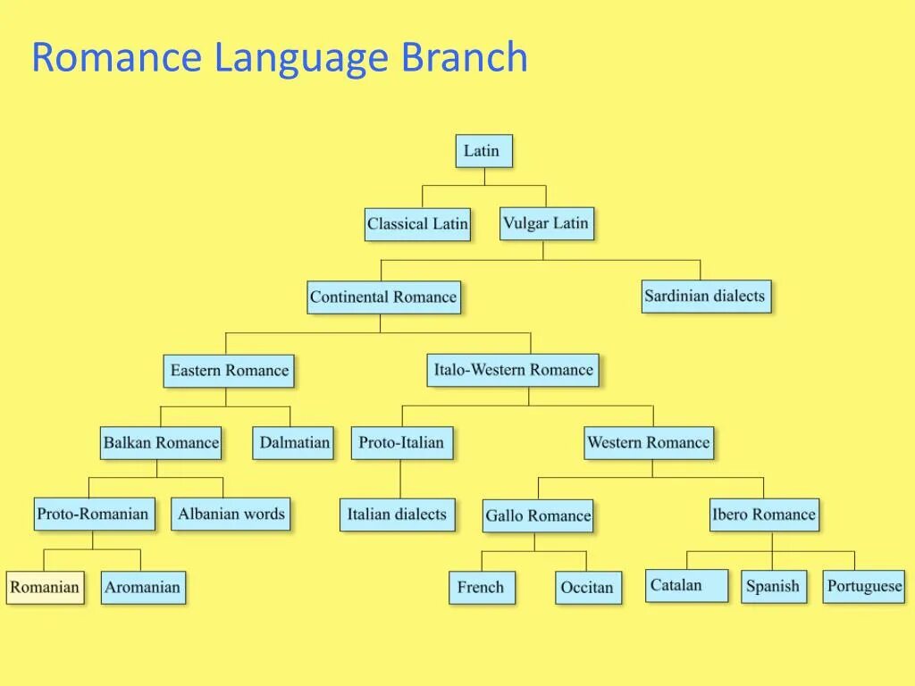 Латинская языковая группа. Схема романских языков. Романская группа языков. Романская ветвь языков. Языки относящиеся к романской группе