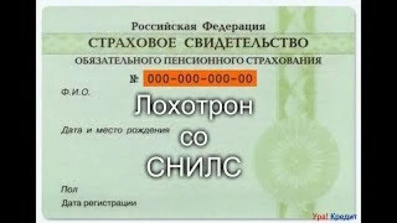 В Липецкой области упрощена процедура получения СНИЛС для детей - последние ново